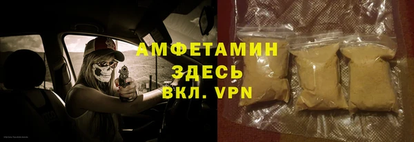 хмурый Алексин