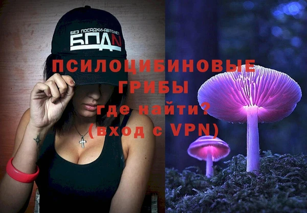 a pvp Алзамай