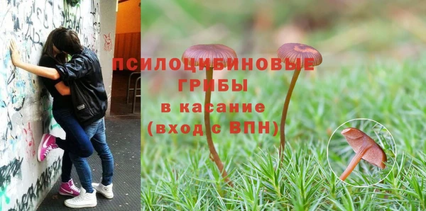 винт Абаза
