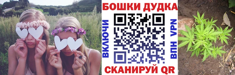 купить  цена  mega зеркало  МАРИХУАНА OG Kush  Ярославль 